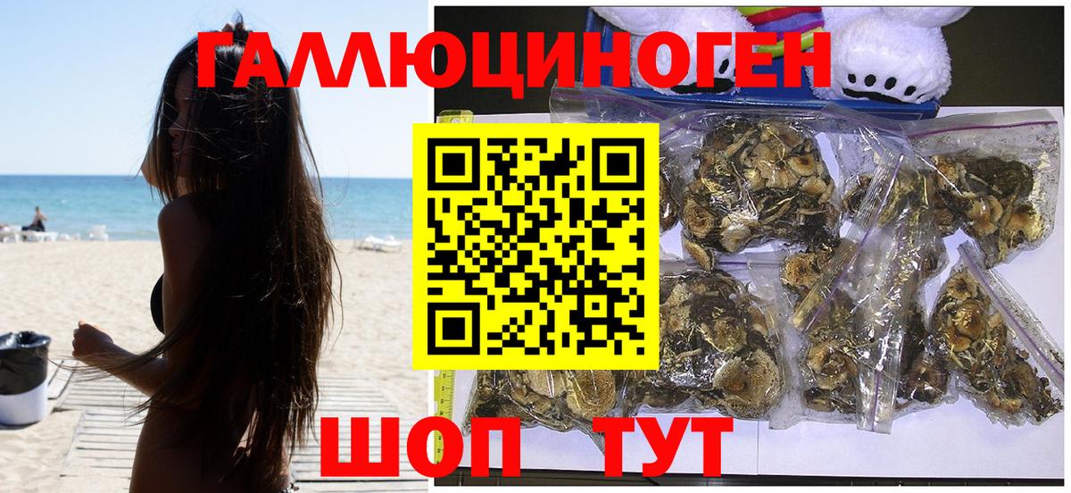 Галлюциногенные грибы прущие грибы  Вход с VPN  Галлюциногенные грибы мицелий  Балтийск 